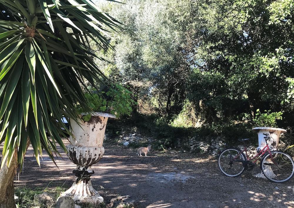 בוניפסיו Residence Hoteliere A Trama מראה חיצוני תמונה