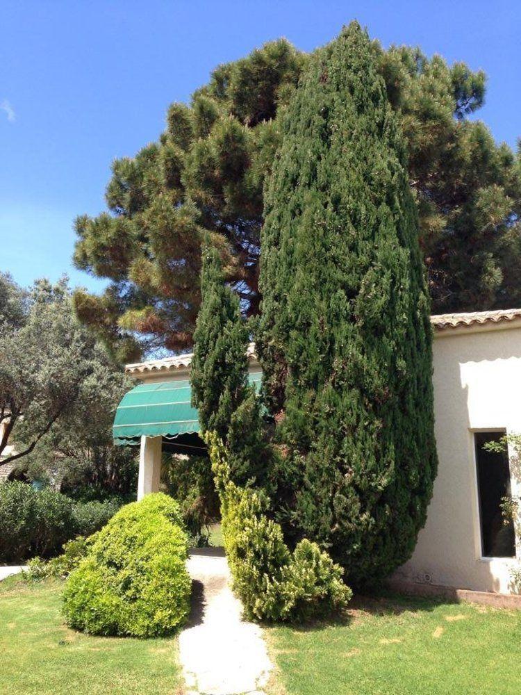 בוניפסיו Residence Hoteliere A Trama מראה חיצוני תמונה