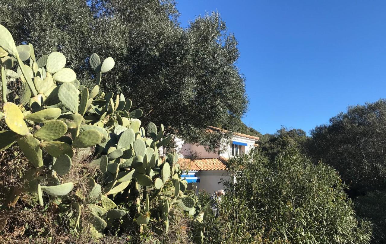 בוניפסיו Residence Hoteliere A Trama מראה חיצוני תמונה